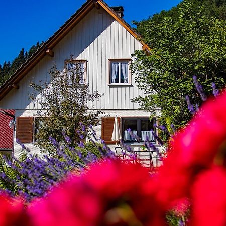 Haus Niedermaettle Apartment Oppenau Bagian luar foto