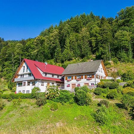 Haus Niedermaettle Apartment Oppenau Bagian luar foto