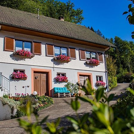 Haus Niedermaettle Apartment Oppenau Bagian luar foto