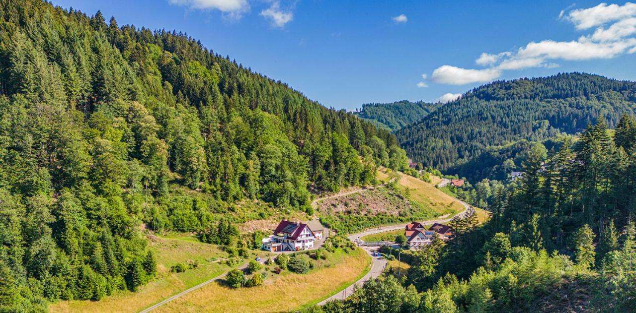 Haus Niedermaettle Apartment Oppenau Bagian luar foto
