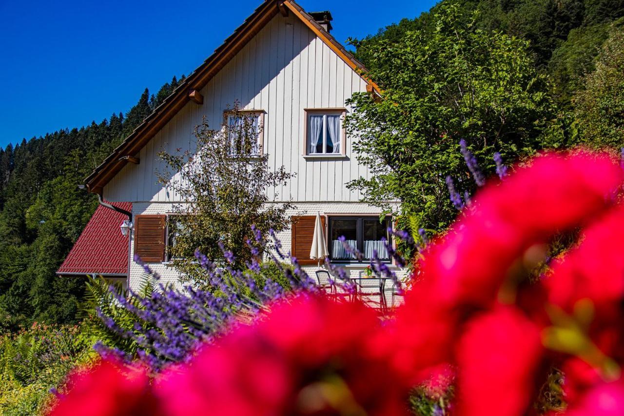 Haus Niedermaettle Apartment Oppenau Bagian luar foto