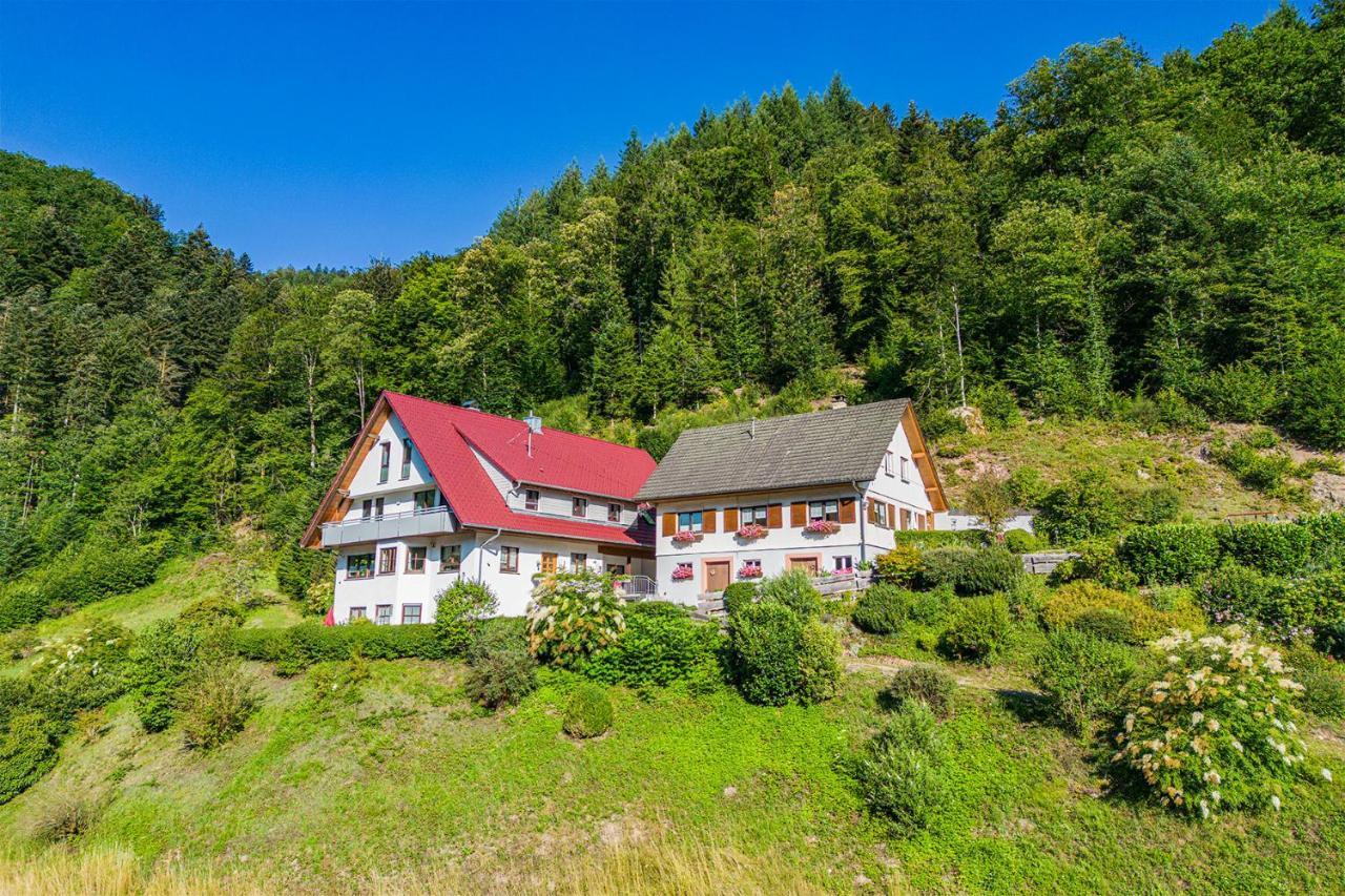 Haus Niedermaettle Apartment Oppenau Bagian luar foto