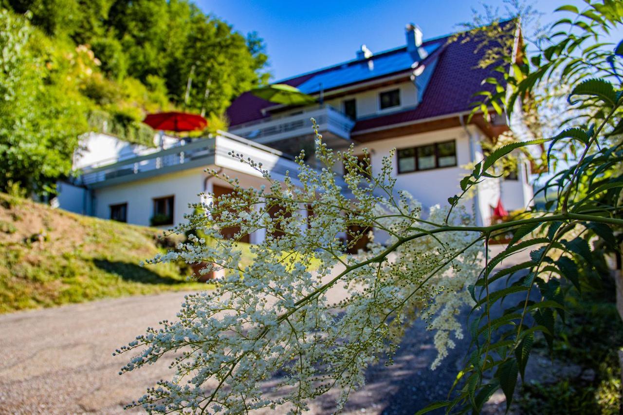 Haus Niedermaettle Apartment Oppenau Bagian luar foto